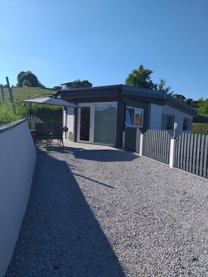 Apartma Lara Lesicno Exterior photo